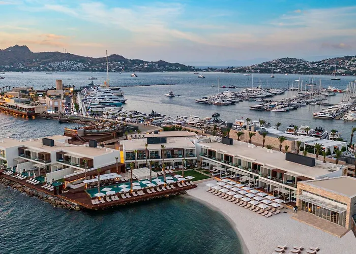 Marina By Social Living Collection Hotell